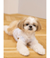 【CAT&DOG】シーズー柄プルオーバー