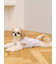 【CAT&DOG】シーズー柄プルオーバー