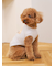 【CAT&DOG】スムーズィートイプードル柄ジャガードプルオーバー