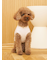 【CAT&DOG】スムーズィートイプードル柄ジャガードプルオーバー