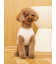 【CAT&DOG】スムーズィートイプードル柄ジャガードプルオーバー