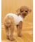 【CAT&DOG】スムーズィートイプードル柄ジャガードプルオーバー