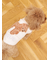 【CAT&DOG】スムーズィートイプードル柄ジャガードプルオーバー