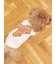 【CAT&DOG】スムーズィートイプードル柄ジャガードプルオーバー
