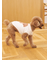 【CAT&DOG】スムーズィートイプードル柄ジャガードプルオーバー