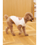 【CAT&DOG】スムーズィートイプードル柄ジャガードプルオーバー