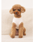 【CAT&DOG】スムーズィートイプードル柄ジャガードプルオーバー