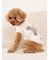 【CAT&DOG】スムーズィートイプードル柄ジャガードプルオーバー