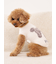 【CAT&DOG】スムーズィートイプードル柄ジャガードプルオーバー