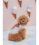 【CAT&DOG】スムーズィートイプードル柄ジャガードプルオーバー