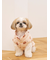 【CAT&DOG】XL・XXLサイズ中綿ベスト