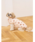 【CAT&DOG】XL・XXLサイズ中綿ベスト