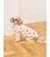 【CAT&DOG】XL・XXLサイズ中綿ベスト