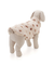 【CAT&DOG】XL・XXLサイズ中綿ベスト