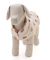 【CAT&DOG】XL・XXLサイズ中綿ベスト
