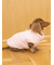 【CAT&DOG】中綿ベスト