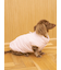 【CAT&DOG】中綿ベスト
