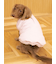 【CAT&DOG】中綿ベスト