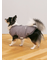 【CAT&DOG】中綿ベスト