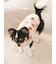 【CAT&DOG】中綿ベスト