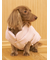 【CAT&DOG】中綿ベスト