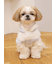 【CAT&DOG】スムーズィーXLサイズ２ボーダーフーディー