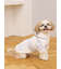 【CAT&DOG】スムーズィーXLサイズ２ボーダーフーディー