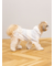 【CAT&DOG】スムーズィーXLサイズ２ボーダーフーディー