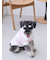 【CAT&DOG】スムーズィーXLサイズ２ボーダーフーディー