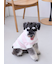 【CAT&DOG】スムーズィーXLサイズ２ボーダーフーディー