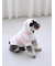 【CAT&DOG】スムーズィーXLサイズ２ボーダーフーディー