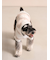 【CAT&DOG】スムーズィーXLサイズ２ボーダーフーディー