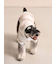 【CAT&DOG】スムーズィーXLサイズ２ボーダーフーディー