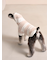 【CAT&DOG】スムーズィーXLサイズ２ボーダーフーディー
