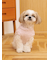 【CAT&DOG】ベビモコXLサイズネッププルオーバー