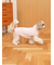 【CAT&DOG】ベビモコXLサイズネッププルオーバー
