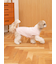 【CAT&DOG】ベビモコXLサイズネッププルオーバー