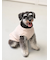 【CAT&DOG】ベビモコXLサイズネッププルオーバー