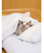 【CAT&DOG】ベビモコおふとんセットL