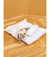 【CAT&DOG】ベビモコおふとんセットL