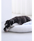 【CAT&DOG】ベビモコベッドL