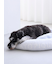 【CAT&DOG】ベビモコベッドL