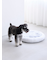 【CAT&DOG】ベビモコベッドL
