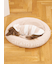 【CAT&DOG】ベビモコベッドL