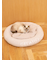 【CAT&DOG】ベビモコベッドL