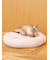 【CAT&DOG】ベビモコベッドM