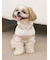 【CAT&DOG】スムーズィー２ボーダーフーディー