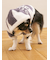 【CAT&DOG】スムーズィー２ボーダーフーディー