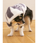 【CAT&DOG】スムーズィー２ボーダーフーディー