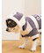 【CAT&DOG】スムーズィー２ボーダーフーディー